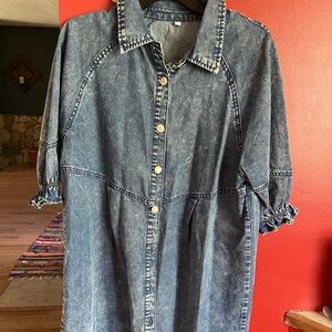 Denim Button-Up Dress